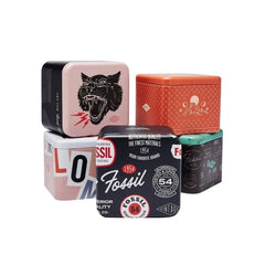 estruche metalico fossil