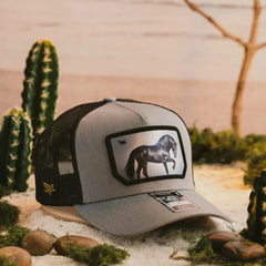 Un accesorio no es solo un complemento, es una declaración de estilo. Adler la corona de la elegancia gorras que hablan por si solas Frase para el tipo de lente Características destacadas:✔ Materiales de Alta calidad – Las Gorras Premium Adler están hechas en algodón 80% poliéster 20%, estos materiales proporciona una textura suave, duradera y cómoda.✔ Diseño y confección detallada – Las gorras premium Adler tienen diseño y confección detallada , con atención a los detalles como la costura, los bordes y las